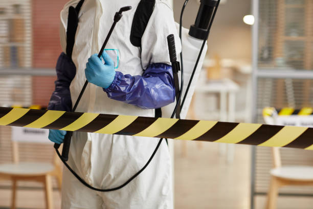Professional Sewage Cleanup technician working in Hope, IN
